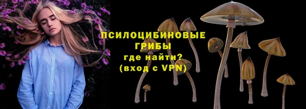 хмурый Абинск