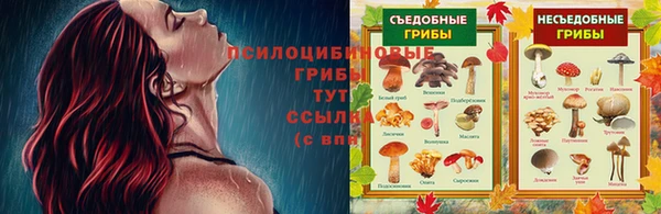 a pvp Протвино
